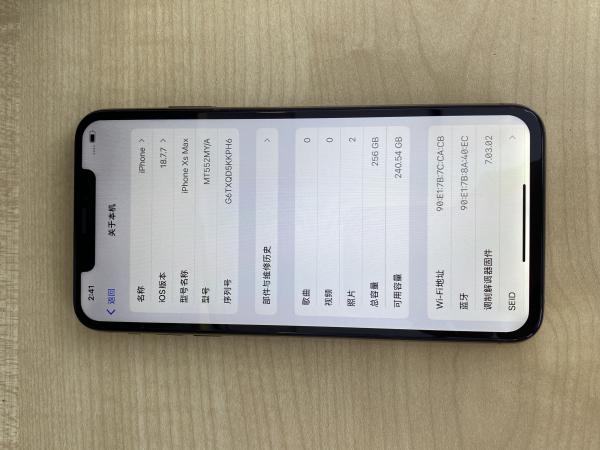 Other Xs max
