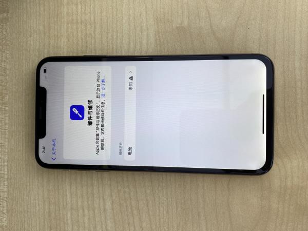 Other Xs max