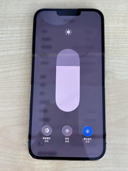 Apple IPHONE 13 PROMAX