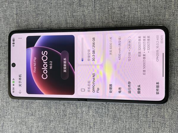 OPPO OPPO FIND N3 FLIP
